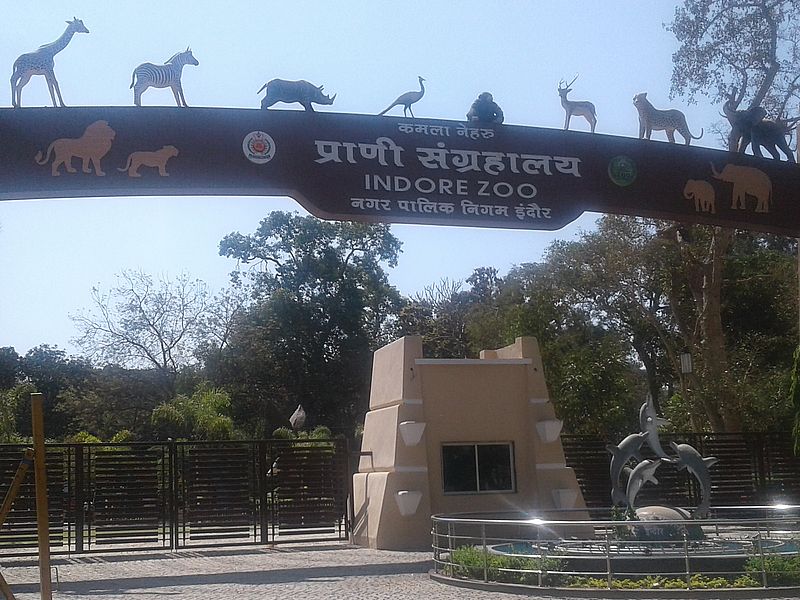 Зоопарк Индора