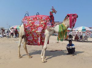 Пляж Пури Индия
