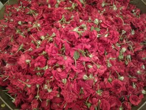 Цветочный рынок Калькутта