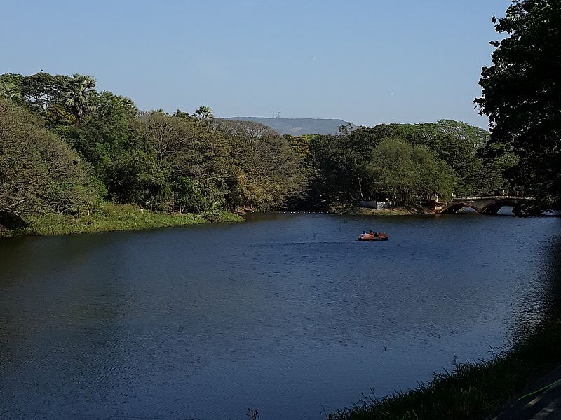 Озеро в парке Боривали