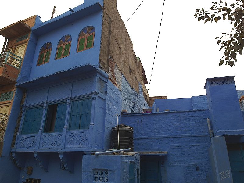 Синий Джодхпур