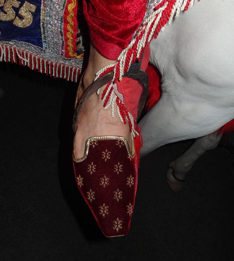 индийская обувь