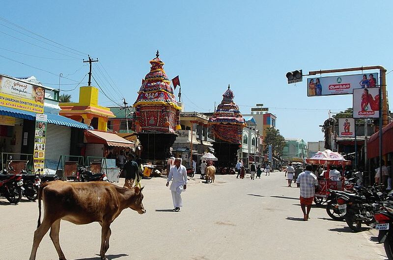 Корова в Индии и в индуизме