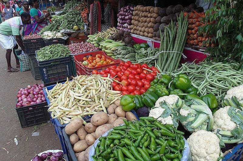 Вегетарианские города Индии