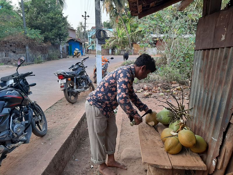 Кокосы в Индии - любимые фрукты
