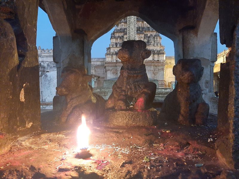 Нанди в храме Шивы